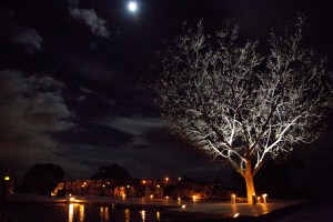Glen Albyn_Night shot of Riverview Deck